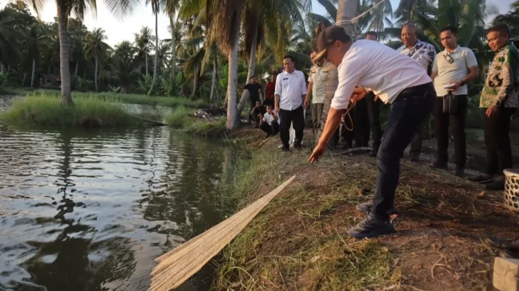 Wujudkan Kemandirian Pangan, Bupati Bone Panen Perdana Ikan Dukung Program MBG