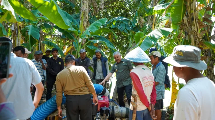 Cegah Gagal Panen, Bupati Pinrang Genjot Langkah Pompanisasi