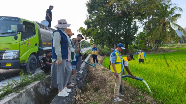 Atasi Kemarau di Lahan Persawahan, Pemkab Pinrang Terjunkan Mobil Tangki Air