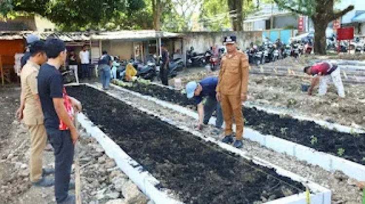 Transformasi Lahan Sampah Jadi Taman Sayur BerAmal di Bone