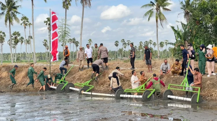Bupati Bone Pimpin Gerakan Tanam Serempak Modern Advance Agriculture