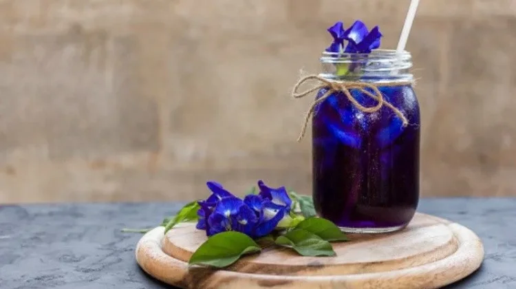 Teh Bunga Telang, Pilihan Minuman yang Kaya Manfaat