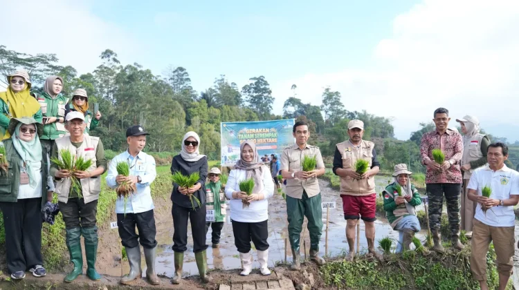 Bupati Sinjai Pimpin Tanam Padi Serentak di Lahan 2.260 Hektare