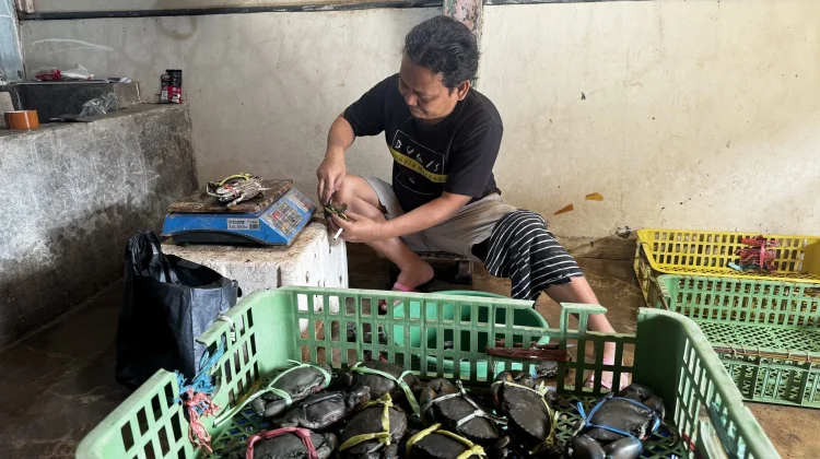 Usaha Kepiting Laccokkong Jaga Mutu Selama 28 Tahun