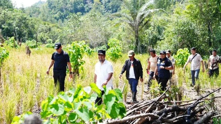 Gubernur Sulsel dan Bupati Bone Tinjau Irigasi Perpipaan Bengo