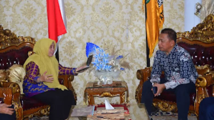 Panitia DPW Himas Kaltim Temui Bupati Sinjai jelang Pelantikan