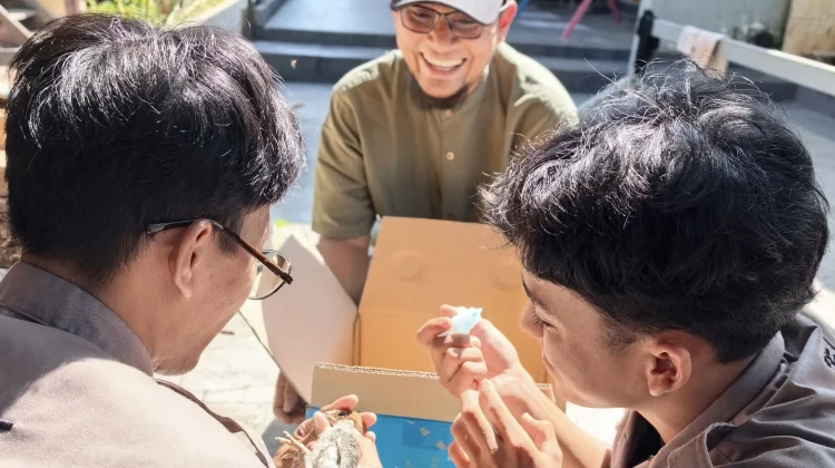 Cegah Penyakit pada Ayam dengan Vaksinasi dan Isolasi