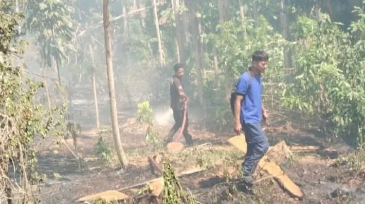 Damkar Padamkan Kebakaran Lahan Kebun di Bone