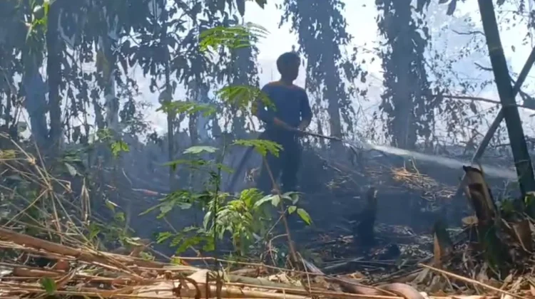 Kebakaran Lahan Terjadi di Padaidi Bone, Api Berhasil Dipadamkan 20 Menit