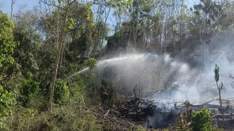 Babinsa Bersama Warga Berhasil Padamkan Kebakaran Kebun Jati Soppeng