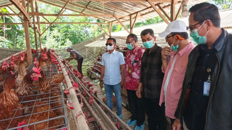 PT Berdikari Bangun Hilirisasi Ayam di Bone, Serap 1.000 Pekerja