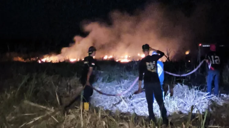 Kebakaran Lahan di Lakukang, Damkar Bone Sigap Padamkan Api