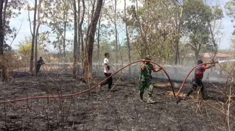 Sinergi TNI-Polri Padamkan Karhutlah di Gunung Sewo Soppeng