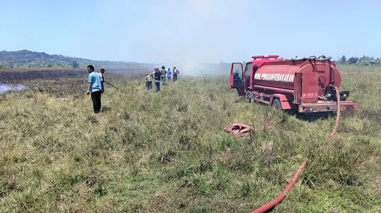 Kebakaran Terjadi di Lahan Kebun Tebu Pabrik Gula Arassoe Bone, Tak Ada Korban Jiwa