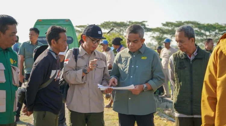 Drone Bantu Petani Pinrang Kendalikan Hama Padi