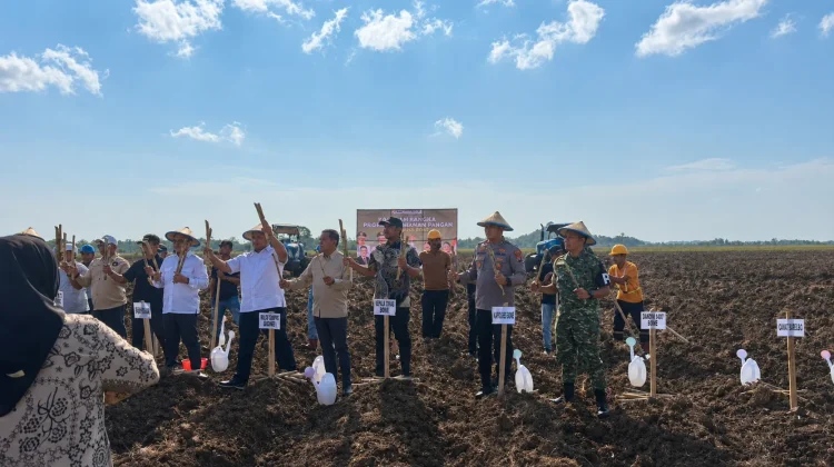Polres Bone Dukung Perluasan Tebu Swasembada Gula Nasional