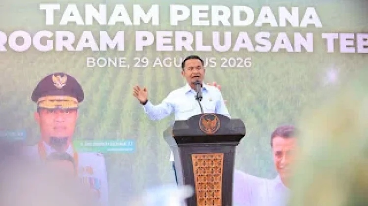 Bone Ditargetkan Menjadi Lumbung Tebu Sulawesi Selatan