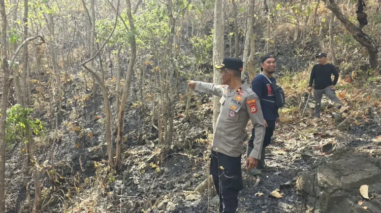 Satgas Karhutla Polres Soppeng Selidiki Kebakaran Gunung Sewo