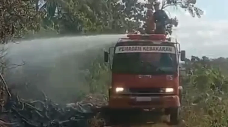 Damkar Bone Padamkan Kebakaran Lahan Tonra