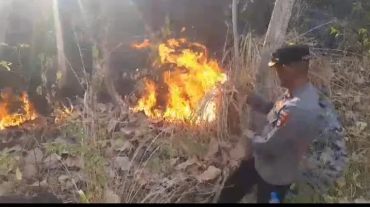 Aparat Polisi dan Tim Gabungan Bergerak Cepat Tangani Karhutla di Soppeng