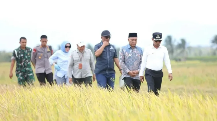 Bupati Bone Tegaskan Pertanian Modern Kunci Tingkatkan Kesejahteraan Petani