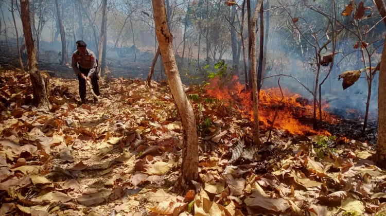 Gerak Cepat, Polres Soppeng Padamkan Kebakaran Lahan