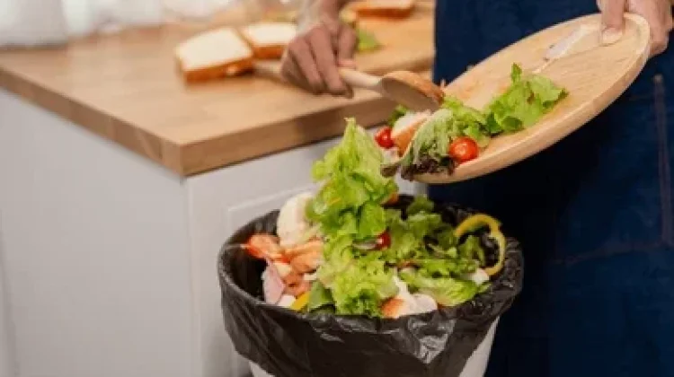 Bukan Cuma Plastik, Sampah Sisa Makanan Rumah Tangga Dominasi Limbah di Indonesia
