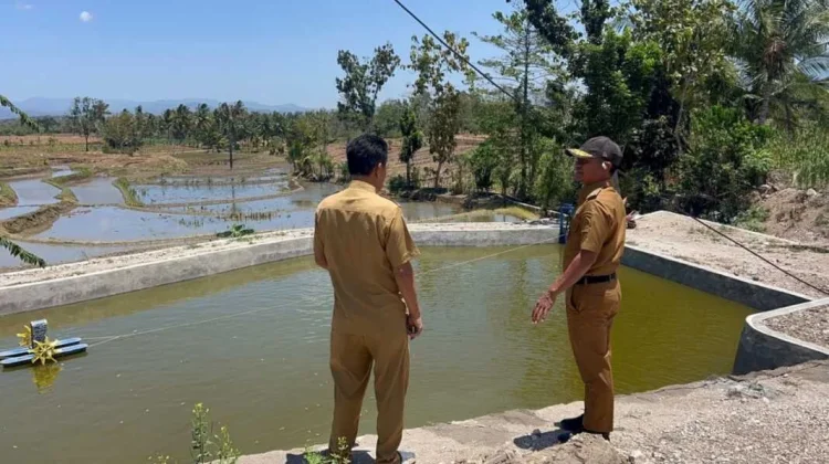 Embung Mappesangka Jadi Percontohan Pengelolaan Air saat Kemarau di Bone