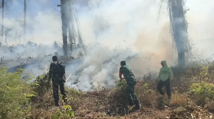 Babinsa dan Warga Padamkan Kebakaran Lahan Jagung di Kecamatan Citta