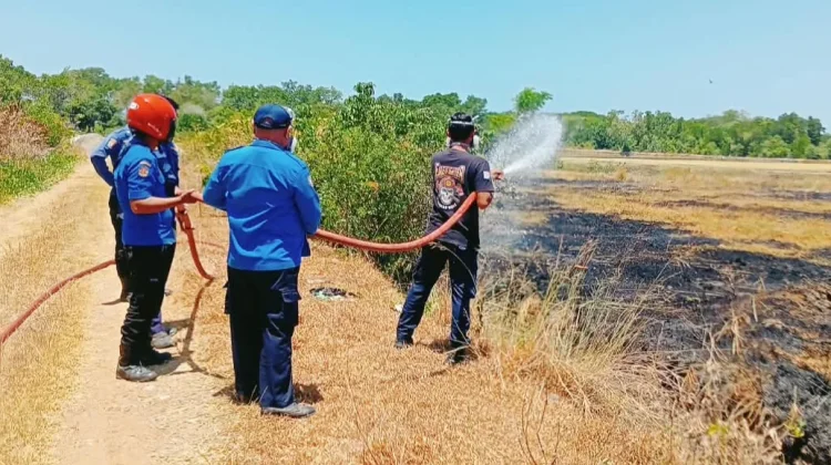 Pembakaran Sampah Picu Kebakaran Lahan di Bajoe