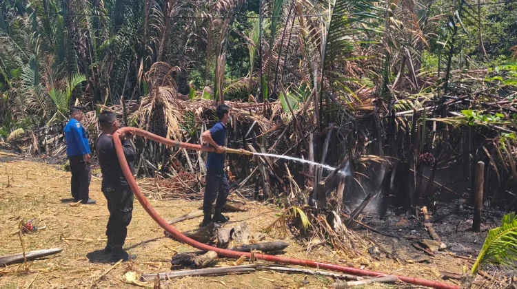 Kebakaran Lahan di Sibulue Dipadamkan dalam 47 Menit