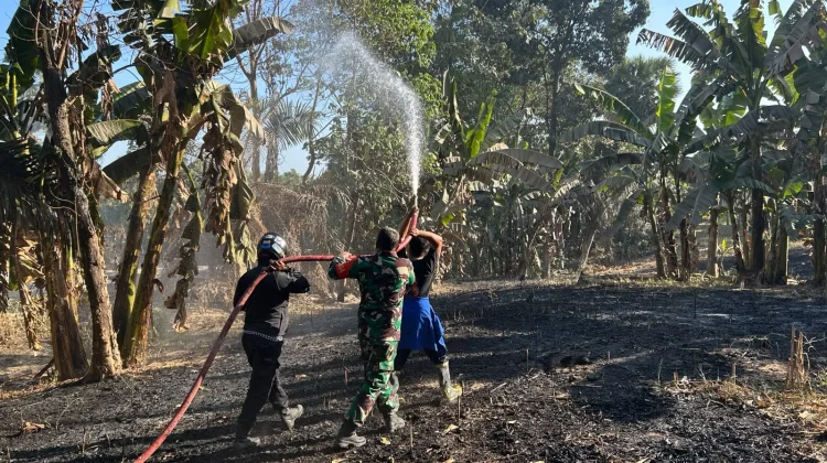 Sekam Padi Terbakar, Api Merambat ke Kebun Warga Awangpone