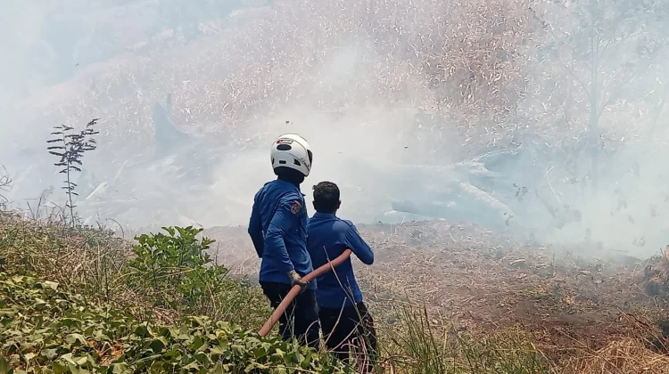 Bakar Lahan Picu Kebakaran di Lamuru Bone, Rugi Rp6 Juta