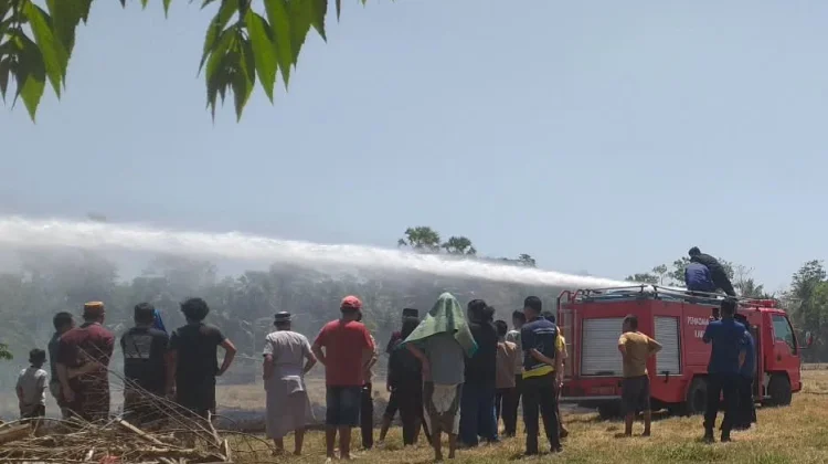 Pembakaran Sampah Picu Kebakaran Lahan di BTN Mahkota 2