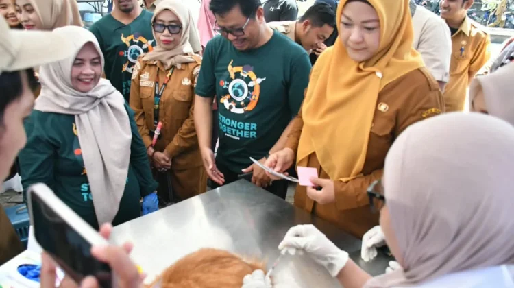 World Rabies Day 2026, Bupati Sinjai Dorong Warga Waspadai Bahaya Rabies