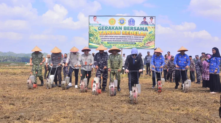 Gerakan Tanam Kedelai di Bone Perkuat Ketahanan Pangan Daerah