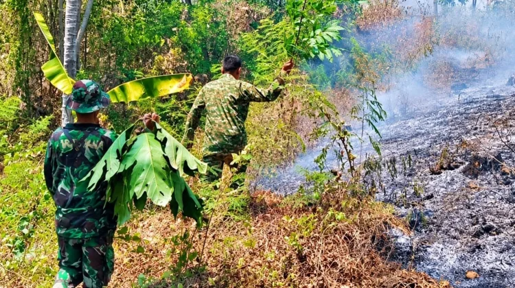 Koramil dan Warga Berjibaku Padamkan Kebakaran Lahan di Labessi