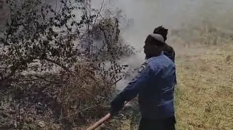Lahan Depan Kampus UNCAPI Terbakar, Api Berhasil Dipadamkan