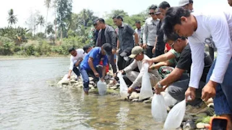 Sebanyak 10 Ribu Benih Ikan Dilepas di Sungai Walannae