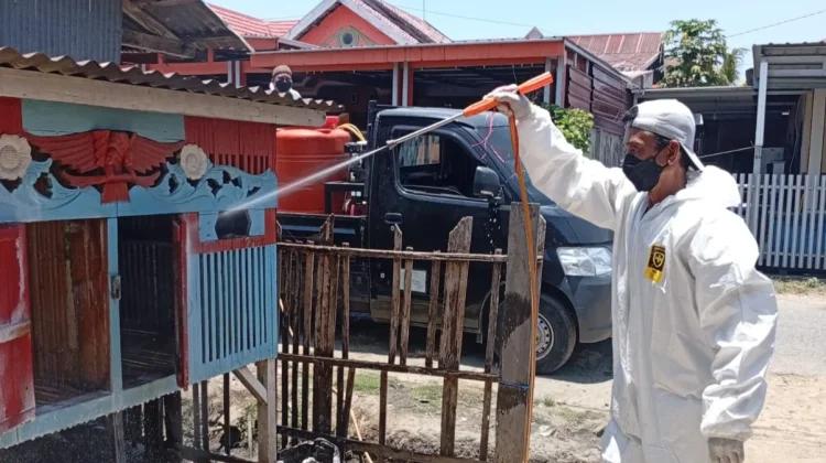 DPKH Sinjai Ingatkan Peternak Soal Vaksin Usai Ayam Warga Mati Massal