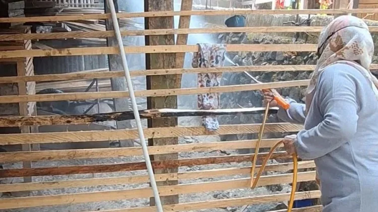 Flu Burung di Sinjai Merebak, DPKH Minta Warga Tidak Panik