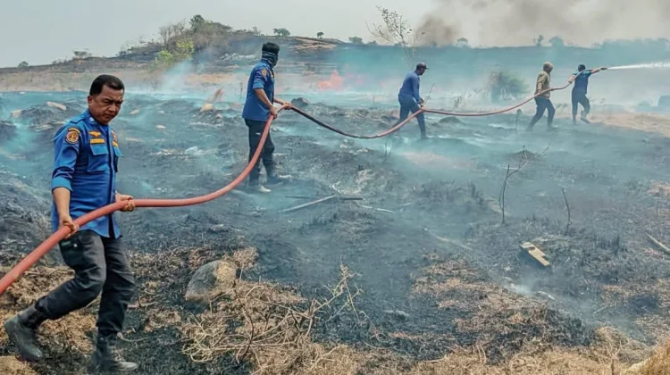 Damkarmat Bone Padamkan Kebakaran Lahan di Desa Mabbiring - RRI.co.id