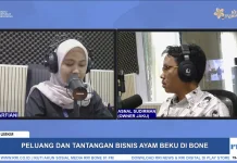 Peluang Bisnis Ayam Beku Kian Tumbuh di Bone