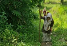 Tembus Medan Curam, Dinkes Sinjai Layani Warga Terpencil
