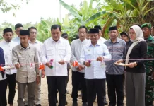 Bupati Bone Dampingi Nurdin Halid Resmikan Talud Desa Melle