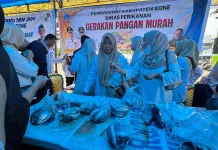 Gerakan Pangan Murah Bone Sediakan 500 Kg Ikan