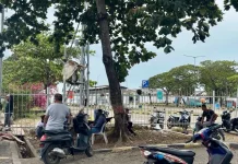 Penutupan sementara Pelabuhan Bajoe Picu Kekhawatiran Warga dan Penumpang