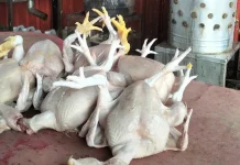 Pedagang Makanan Bone Keluhkan Harga Bahan Baku Naik