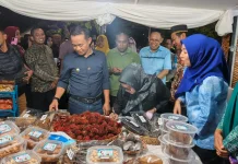 Andi Asman Buka Festival Seni Budaya Bone