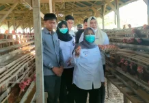 Bupati Sinjai Dorong Bumdes Perkuat Rantai Pasok Pangan MBG